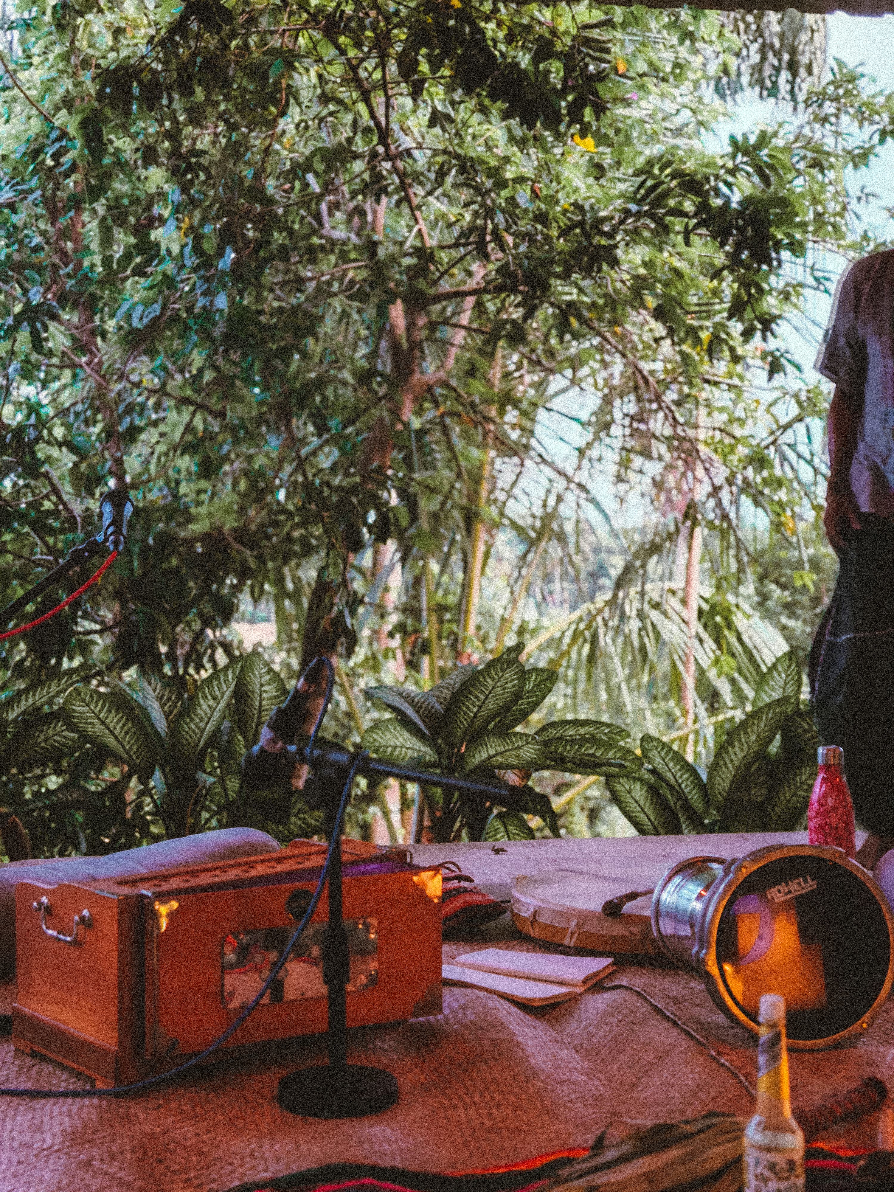 Dżungla - Powietrze